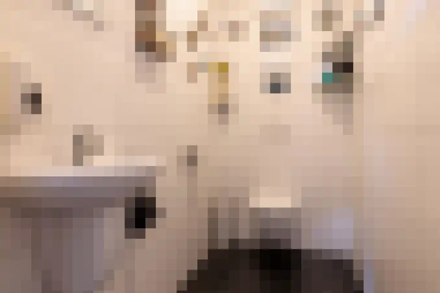 Oosteinde 263 Vriezenveen thumbnail 9