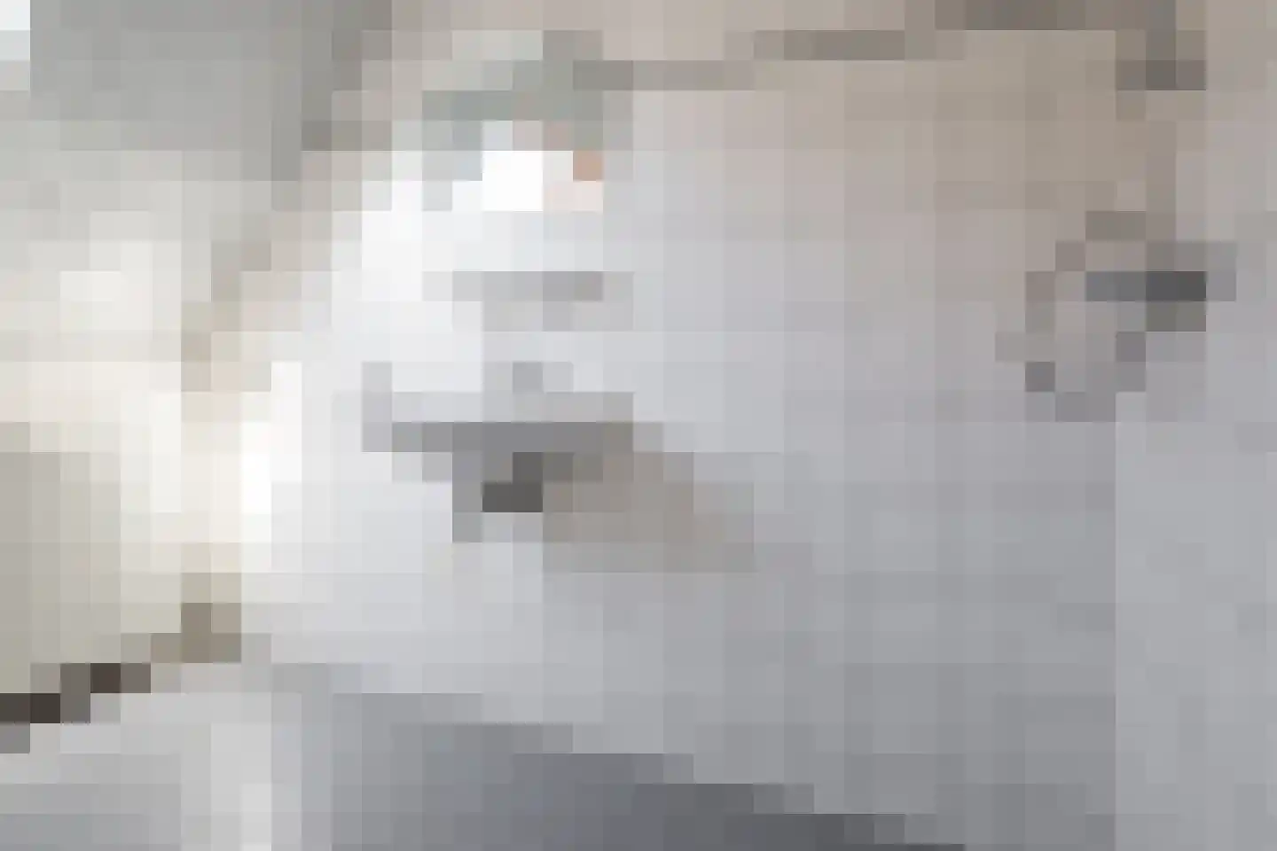 Oosteinde 274 Vriezenveen thumbnail 33