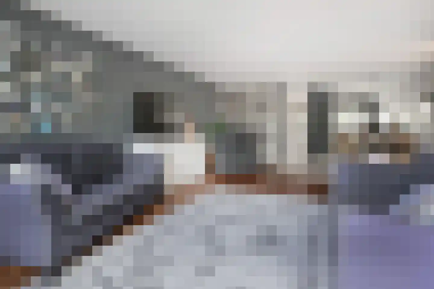 Oosteinde 287 Voorburg thumbnail 13