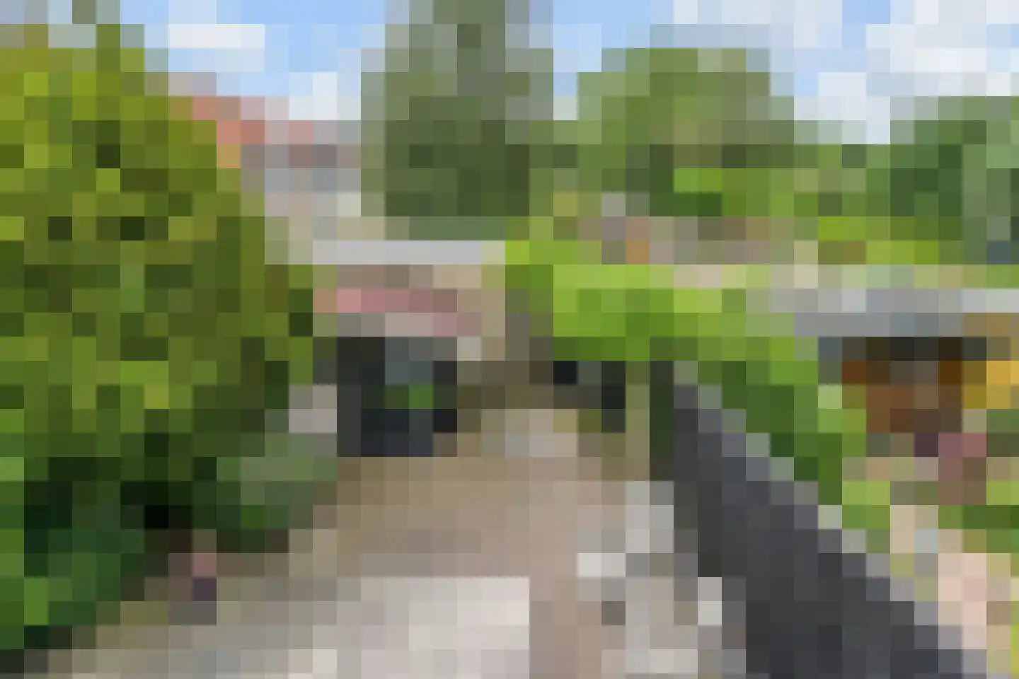 Oosteinde 287 Voorburg thumbnail 24