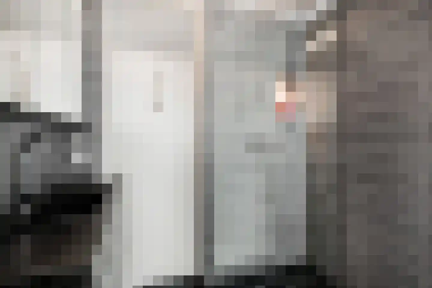 Oosteinde 287 Voorburg thumbnail 31
