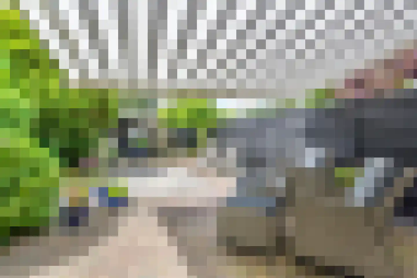 Oosteinde 287 Voorburg thumbnail 38
