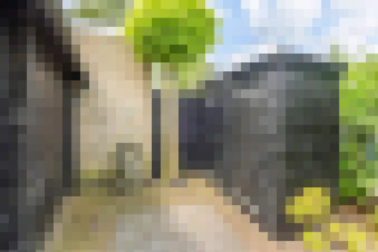 Oosteinde 287 Voorburg thumbnail 41