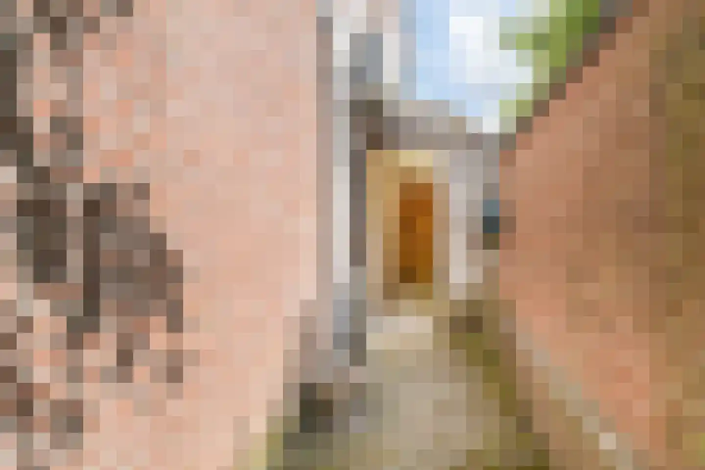 Oosteinde 287 Voorburg thumbnail 42