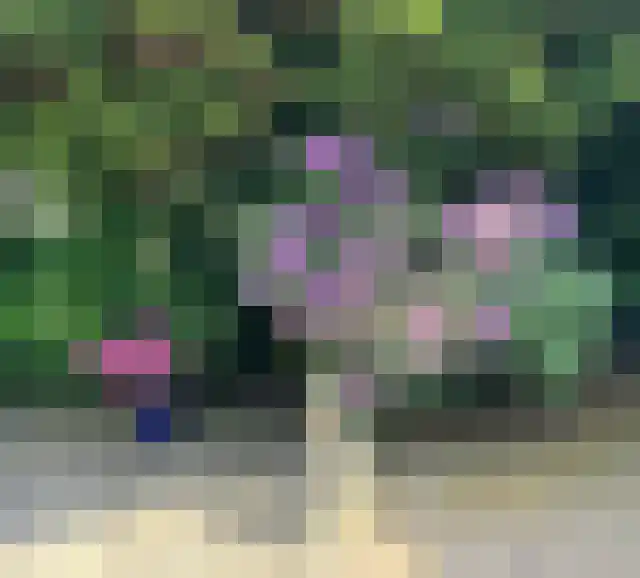 Oosteinde 287 Voorburg thumbnail 45