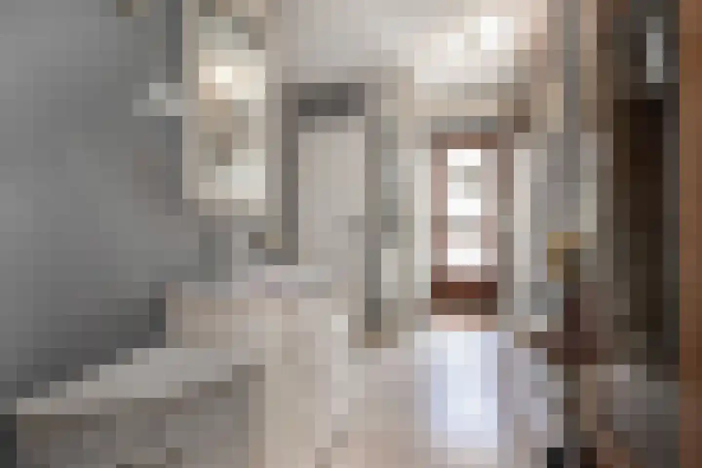 Oosteinde 287 Voorburg thumbnail 9