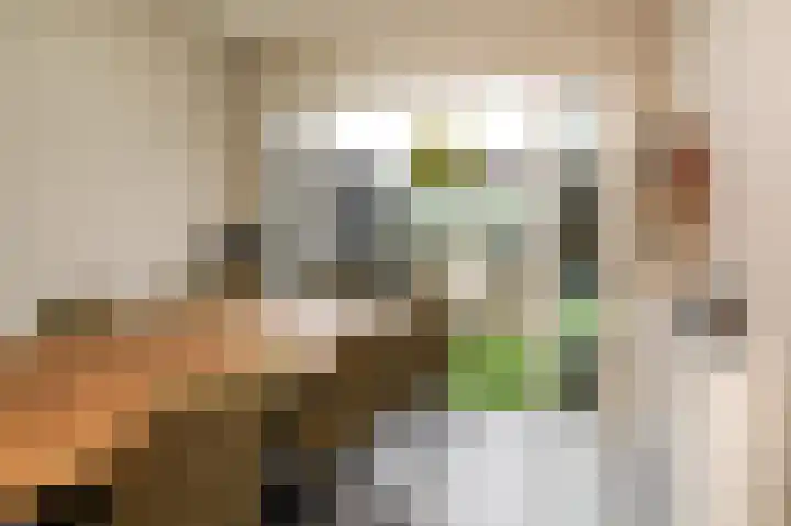 Oosteinde 29 Scherpenzeel thumbnail 14