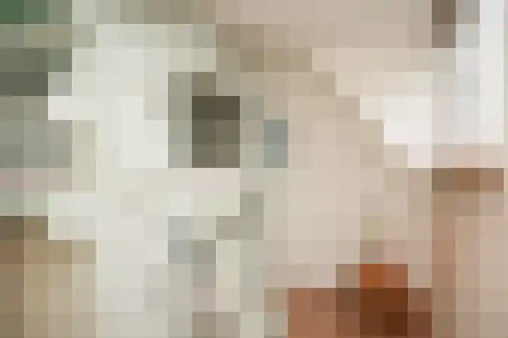 Oosteinde 29 Scherpenzeel thumbnail 22