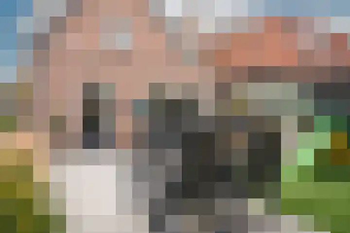Oosteinde 29 Scherpenzeel thumbnail 31
