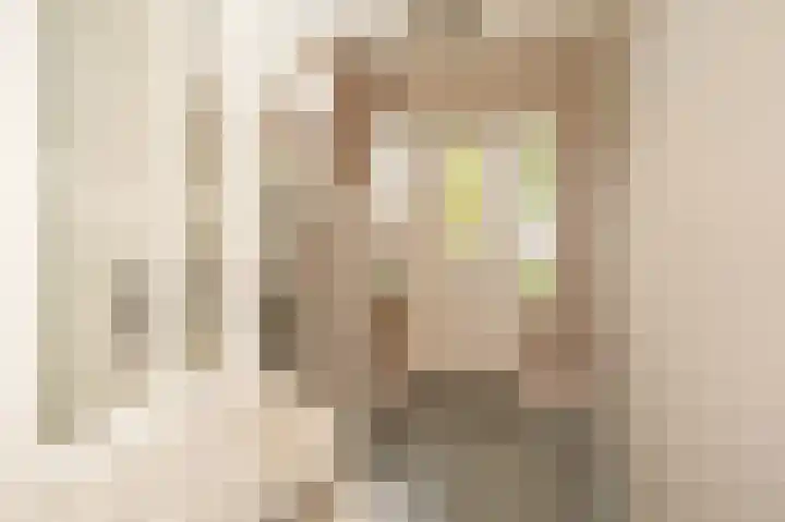 Oosteinde 29 Scherpenzeel thumbnail 4