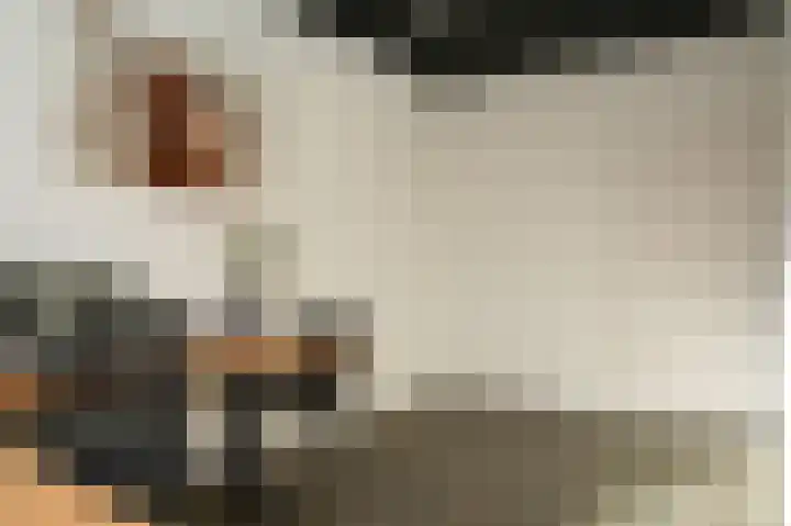 Oosteinde 29 Scherpenzeel thumbnail 40