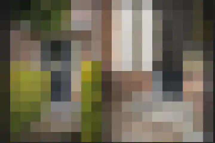 Oosteinde 29 Scherpenzeel thumbnail 45