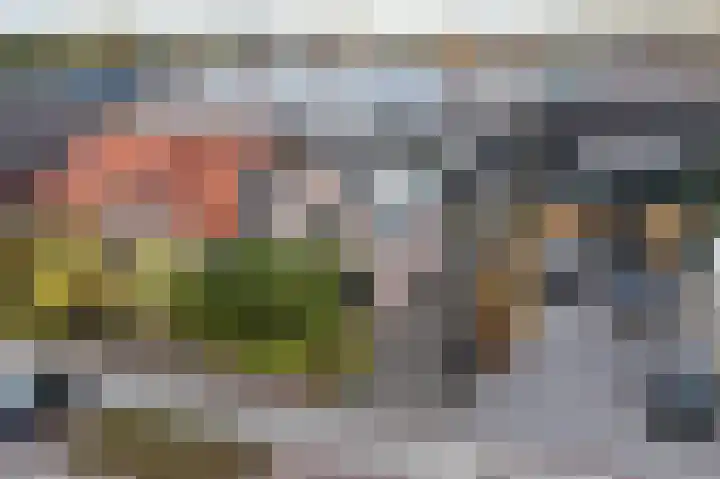 Oosteinde 29 Scherpenzeel thumbnail 46