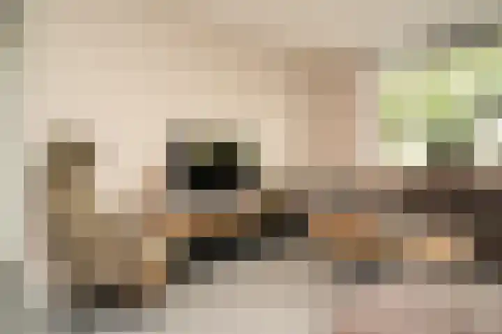 Oosteinde 29 Scherpenzeel thumbnail 6