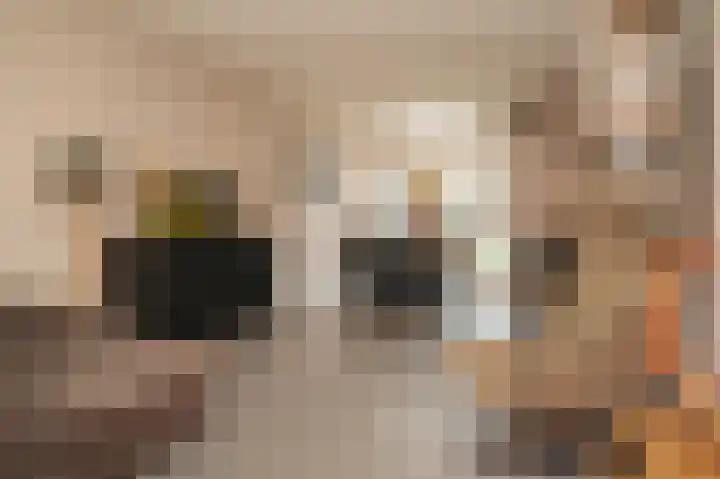 Oosteinde 29 Scherpenzeel thumbnail 7
