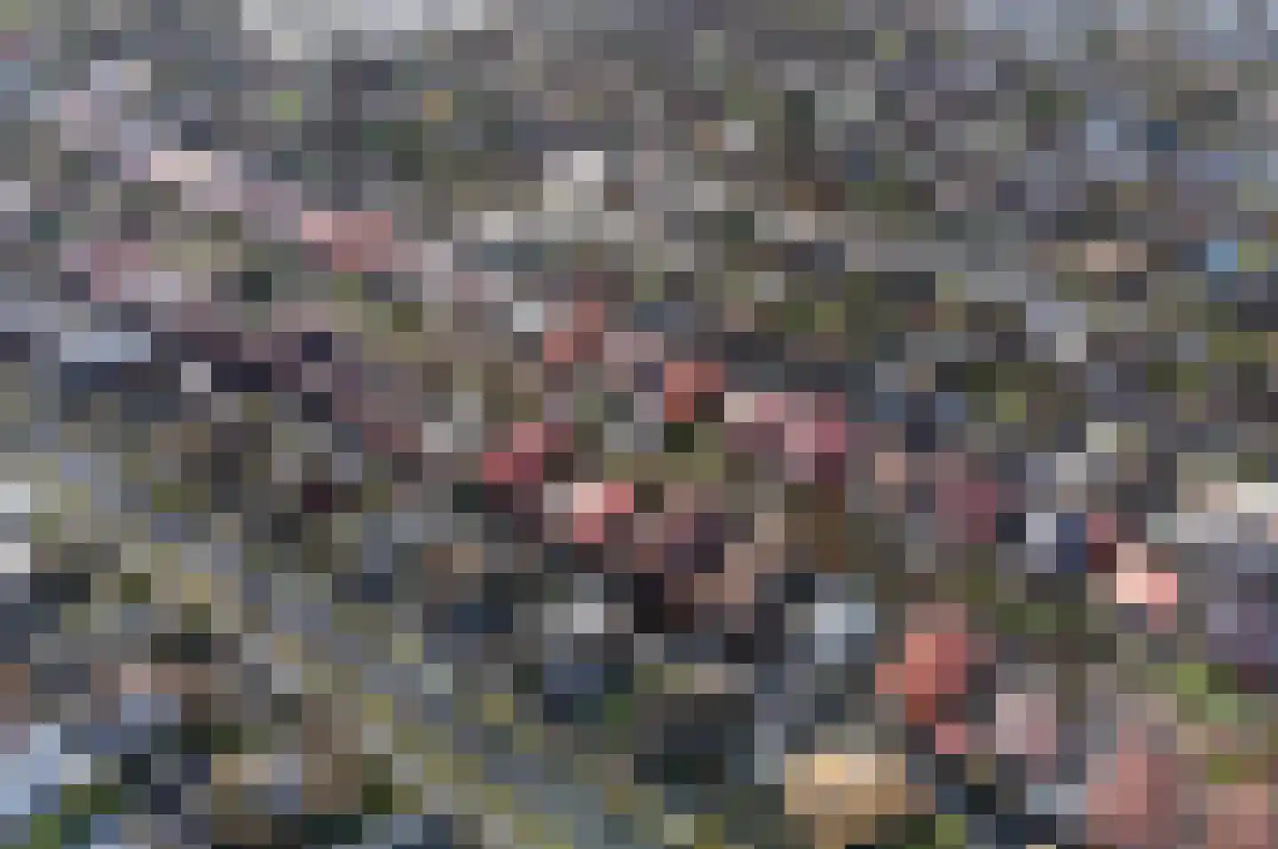 Oosteinde 3 h 25 Moordrecht thumbnail 30