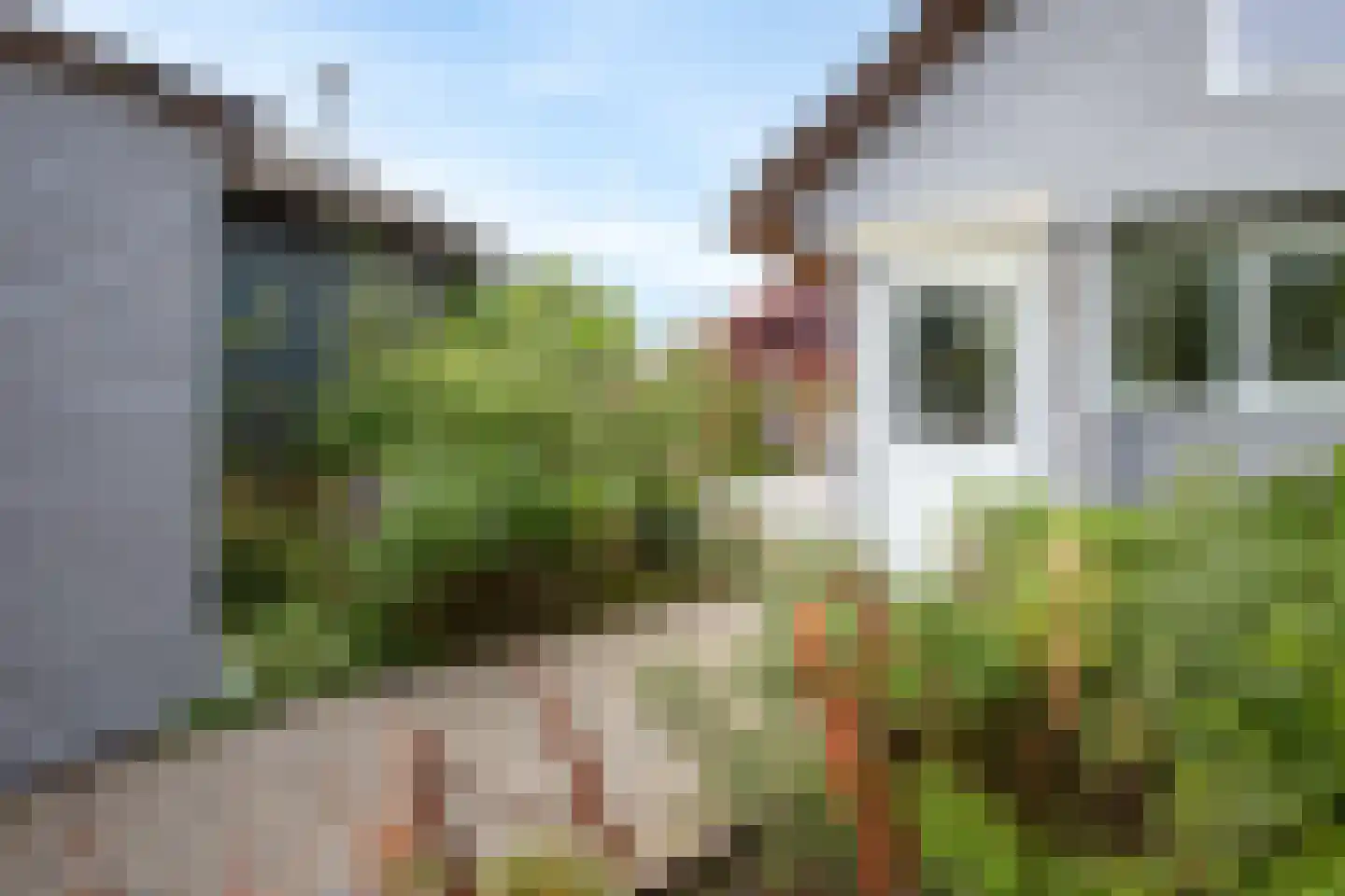 Oosteinde 3 h 27 Moordrecht thumbnail 12