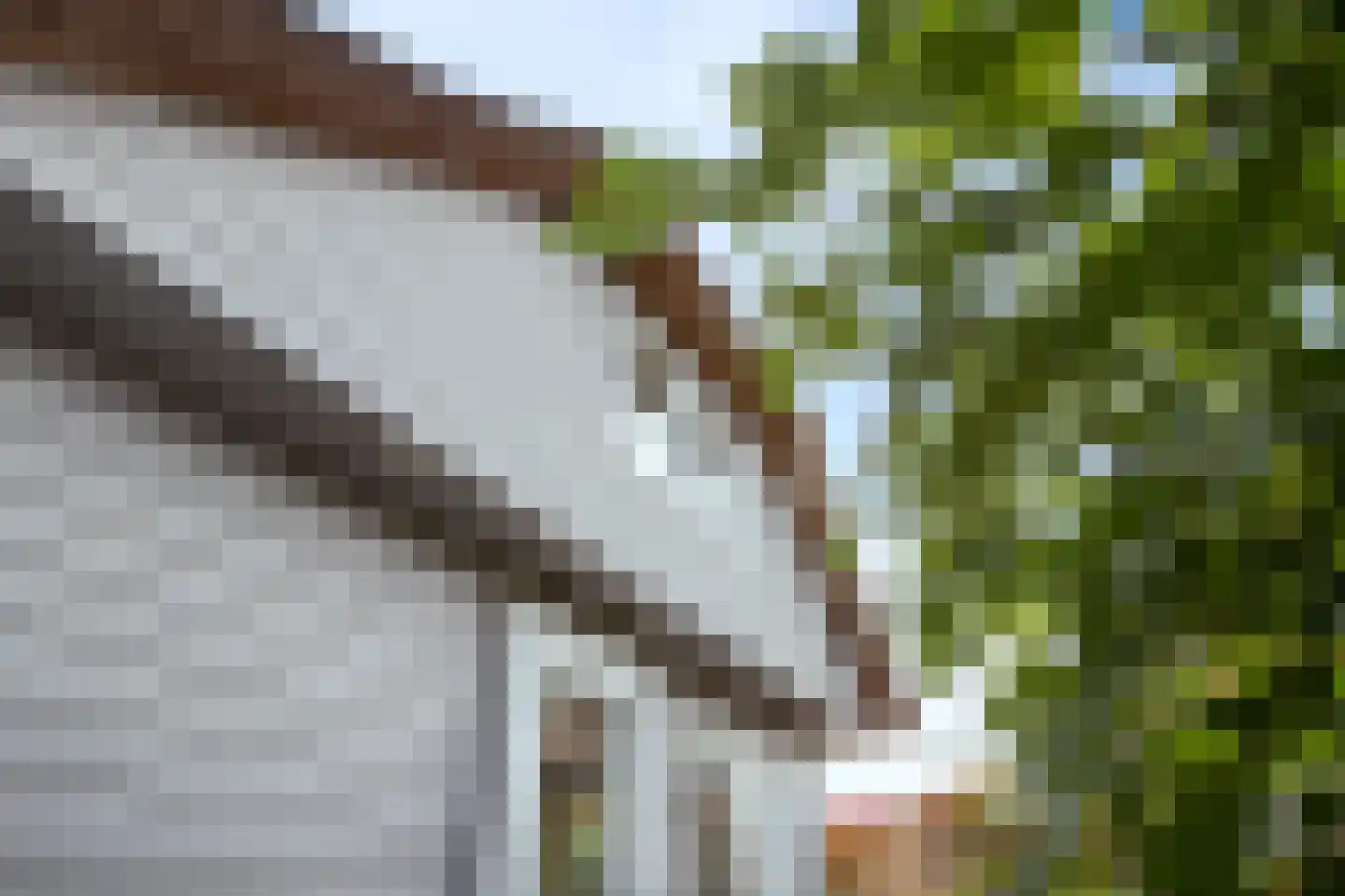 Oosteinde 3 h 27 Moordrecht thumbnail 32
