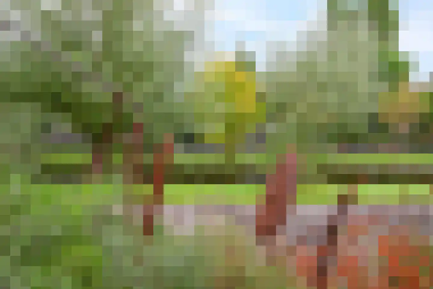 Oosteinde 3 h 27 Moordrecht thumbnail 58