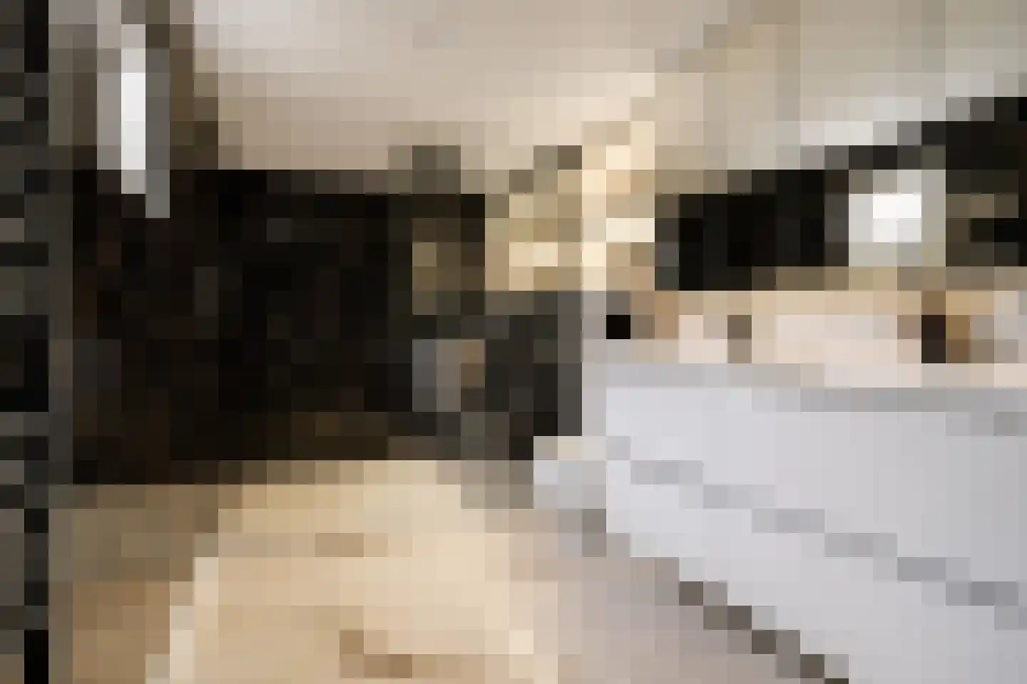 Oosteinde 3 h 47 Moordrecht thumbnail 10