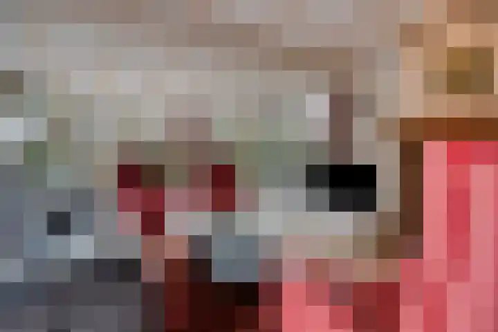 Oosteinde 3 Marknesse thumbnail 15