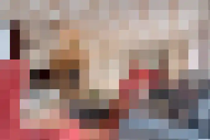 Oosteinde 3 Marknesse thumbnail 18