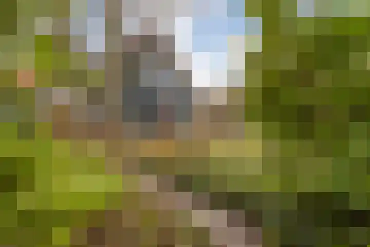Oosteinde 3 Marknesse thumbnail 4