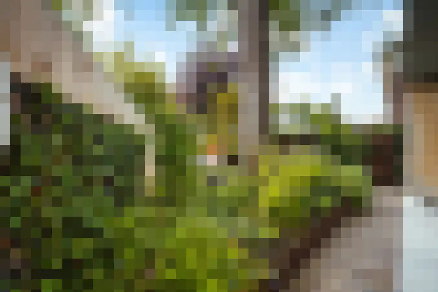 Oosteinde 3 Marknesse thumbnail 43