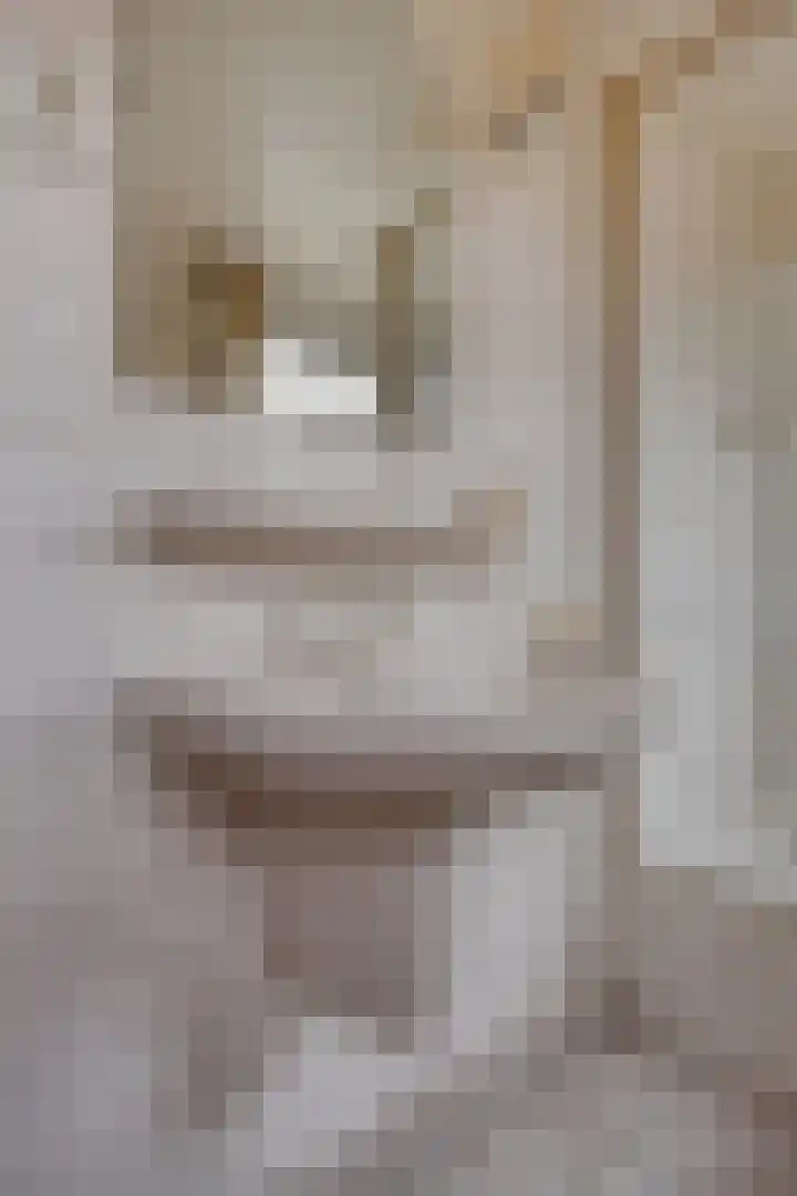 Oosteinde 3 Marknesse thumbnail 43