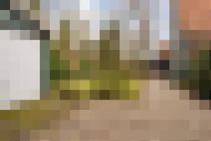 Oosteinde 3 Marknesse thumbnail 49