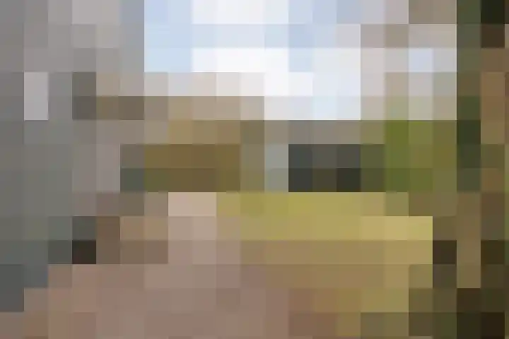 Oosteinde 3 Marknesse thumbnail 50