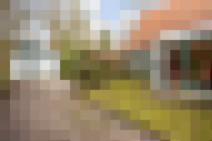 Oosteinde 3 Marknesse thumbnail 51