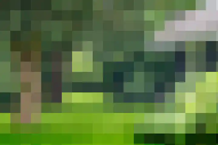 Oosteinde 3 Marknesse thumbnail 52