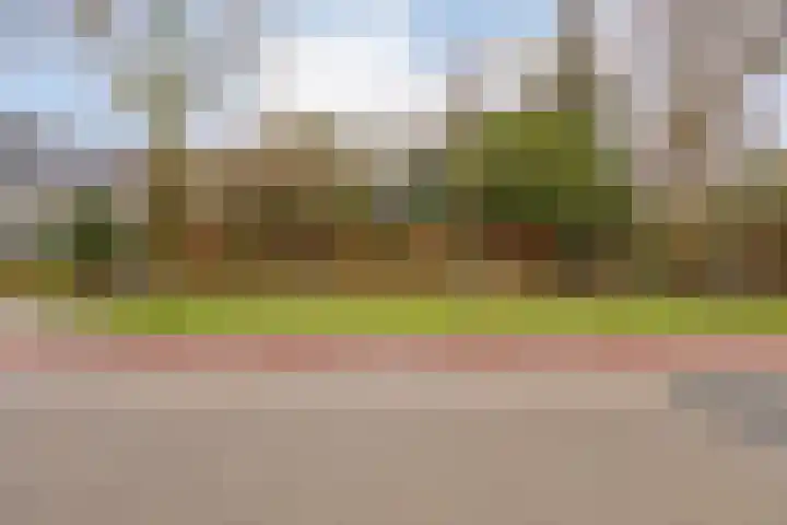 Oosteinde 3 Marknesse thumbnail 7