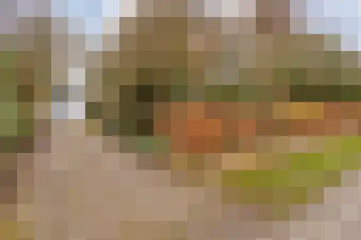 Oosteinde 3 Marknesse thumbnail 9