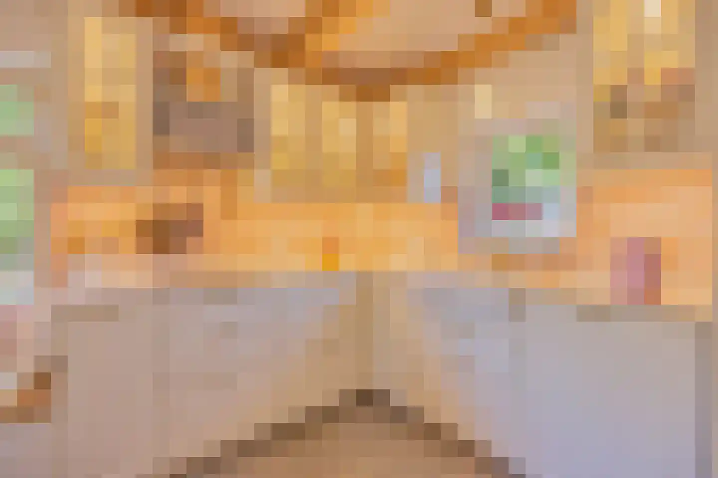 Oosteinde 30 Blijham thumbnail 18