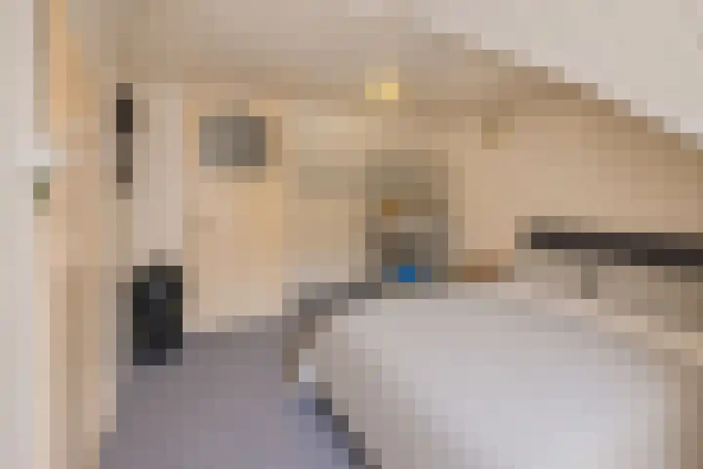 Oosteinde 30 Blijham thumbnail 32