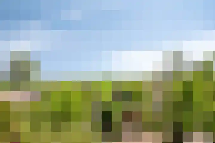 Oosteinde 30 Broek in Waterland thumbnail 24