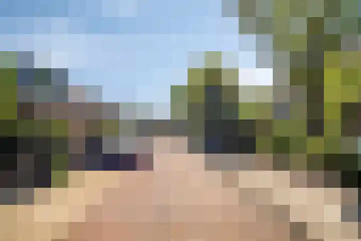 Oosteinde 30 Broek in Waterland thumbnail 33