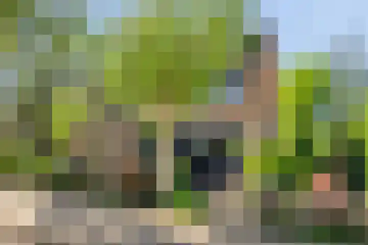 Oosteinde 30 Broek in Waterland thumbnail 42