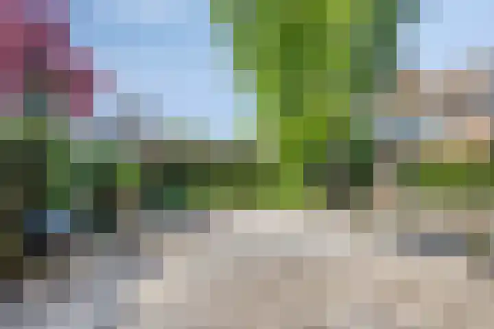 Oosteinde 30 Broek in Waterland thumbnail 5
