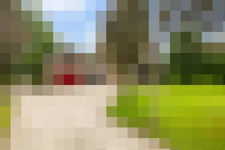Oosteinde 32 a Waarder foto 2