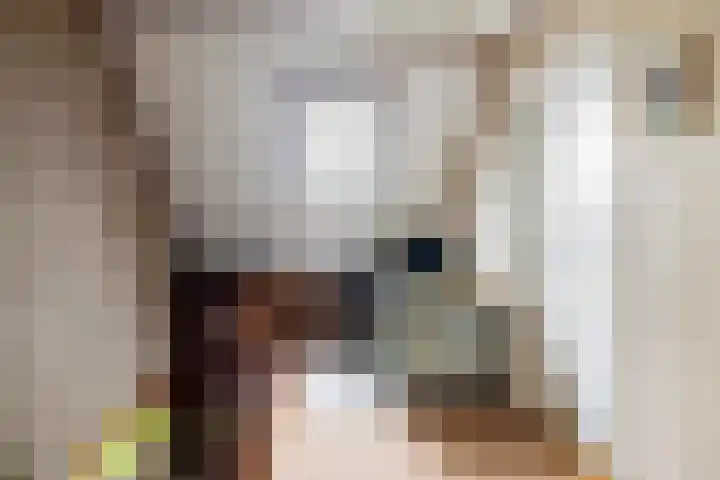 Oosteinde 32 a Waarder thumbnail 28