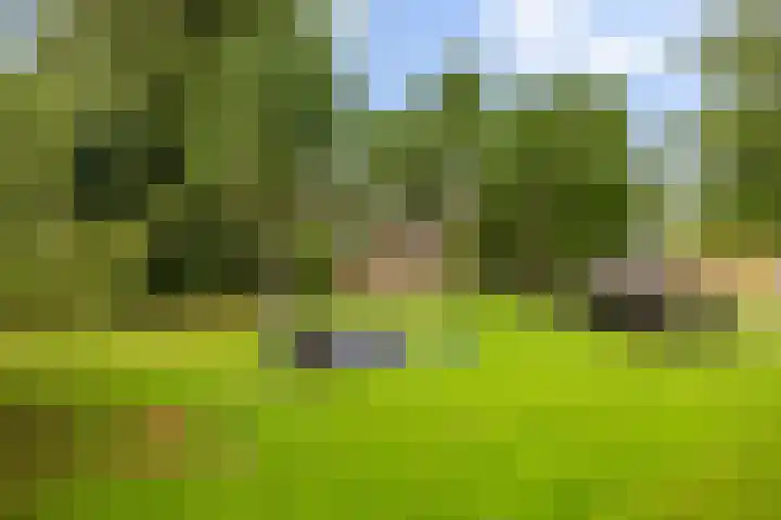 Oosteinde 32 a Waarder thumbnail 40