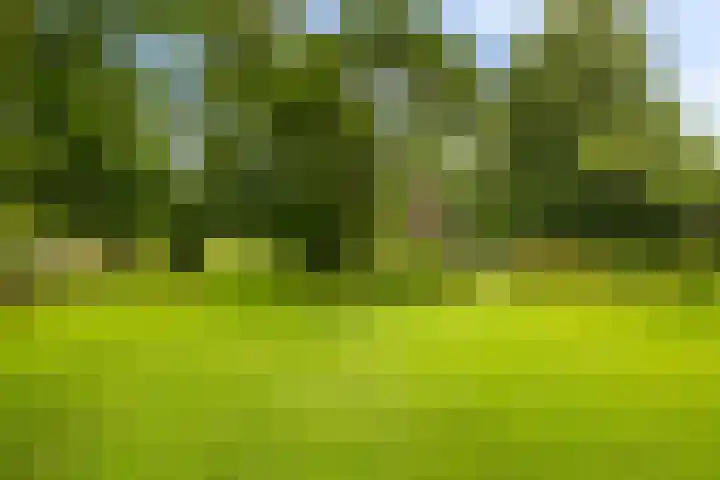 Oosteinde 32 a Waarder thumbnail 41