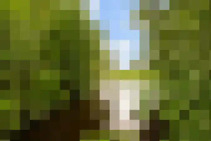 Oosteinde 32 a Waarder thumbnail 46