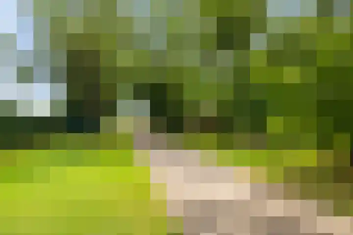 Oosteinde 32 a Waarder thumbnail 47