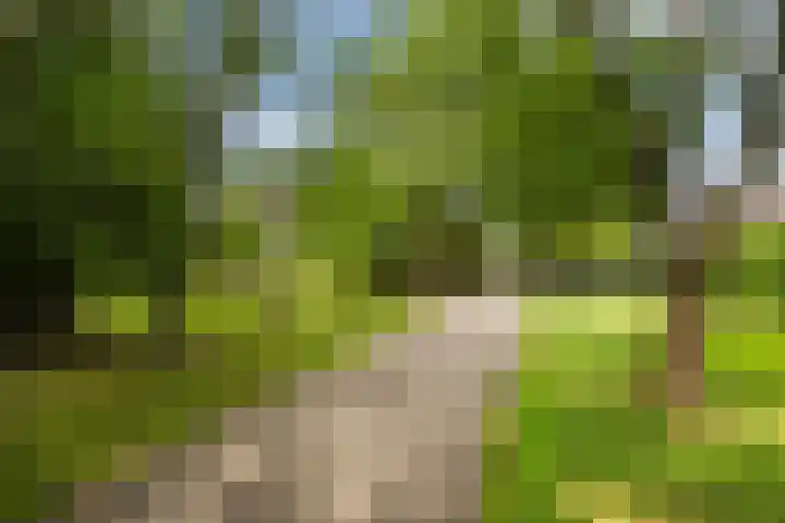 Oosteinde 32 a Waarder thumbnail 48