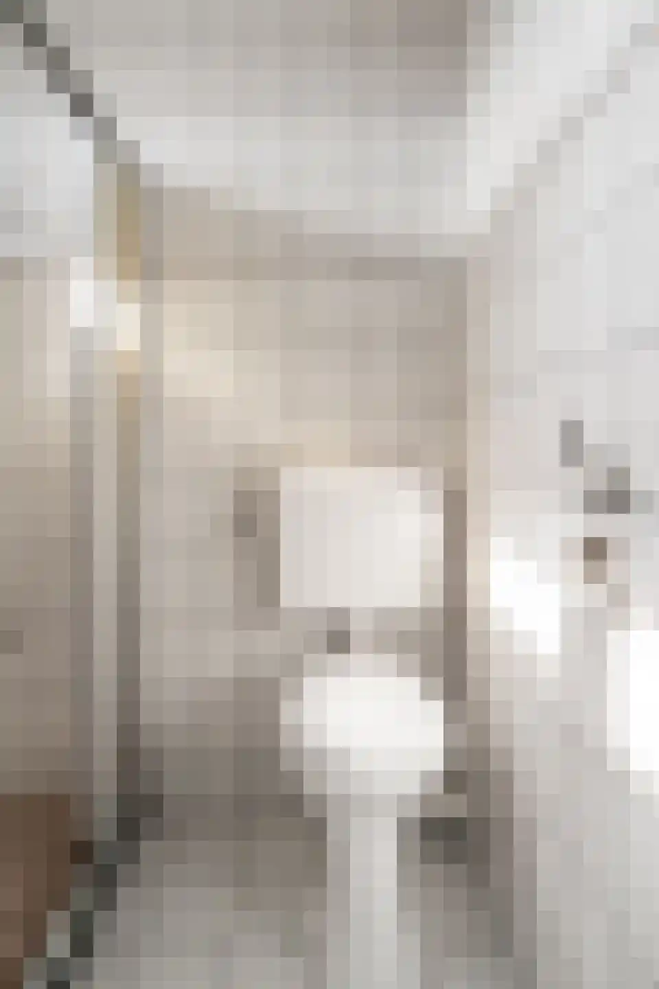 Oosteinde 32 C Zevenaar thumbnail 40