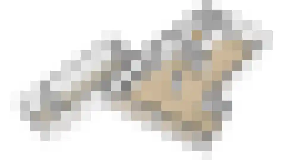 Oosteinde 32 C Zevenaar thumbnail 47